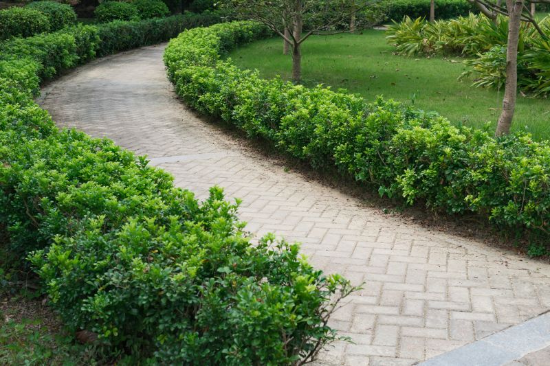 Garden Pathway Paving